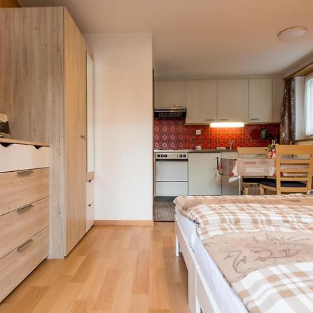 Haus Alpenblick Διαμέρισμα Saas-Grund Εξωτερικό φωτογραφία